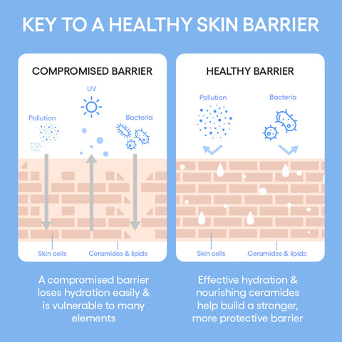 Cream Skin Toner & Moisturizer